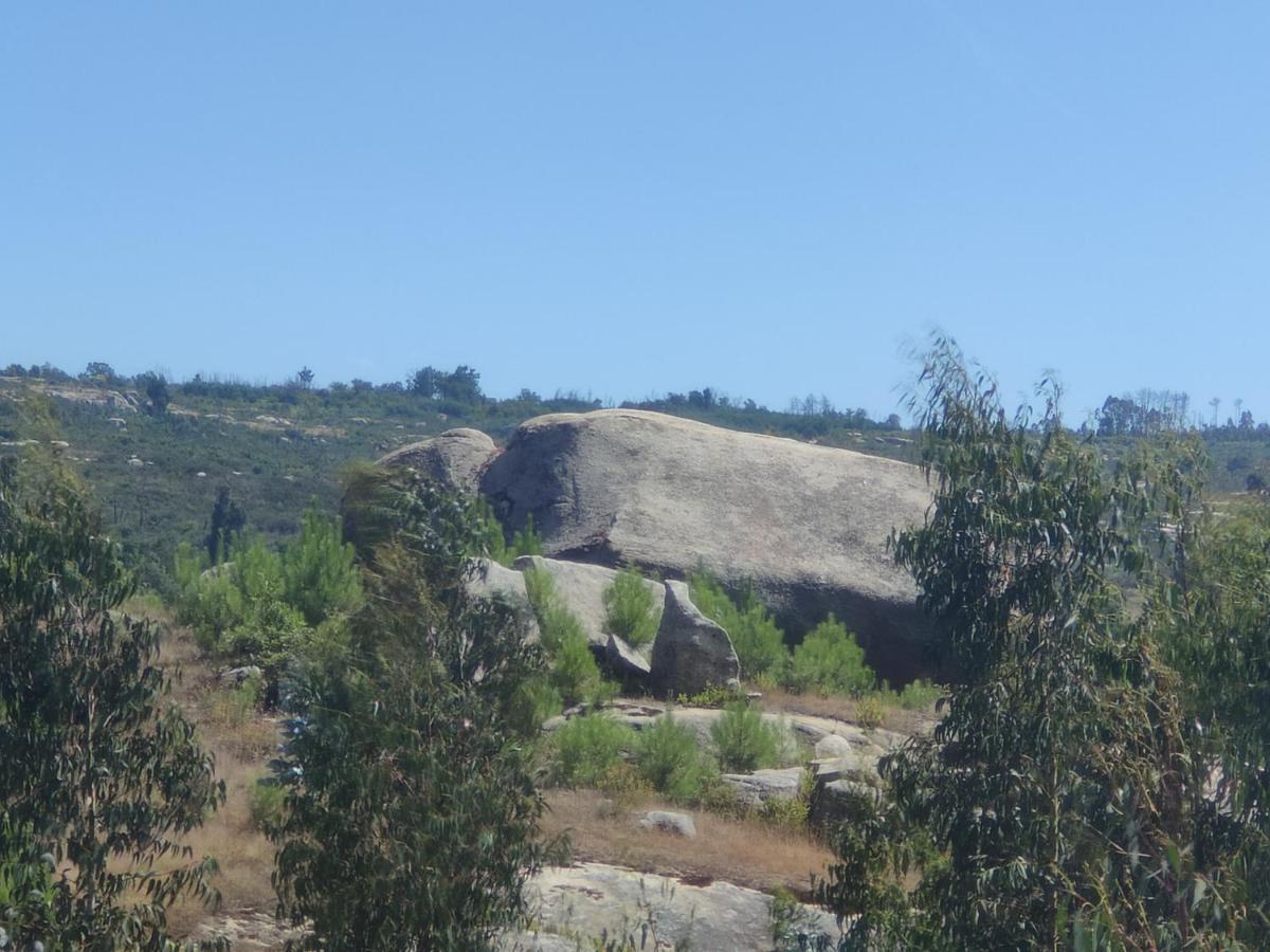 Quinta da Adarnela Alto Lagares da Beira Exterior foto