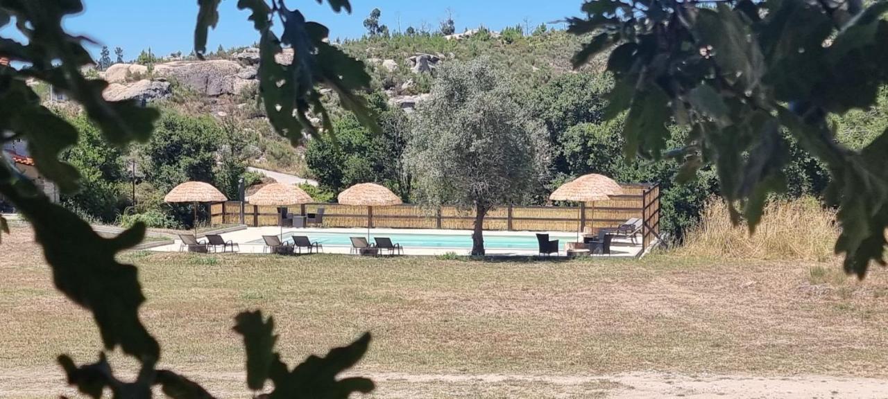 Quinta da Adarnela Alto Lagares da Beira Exterior foto