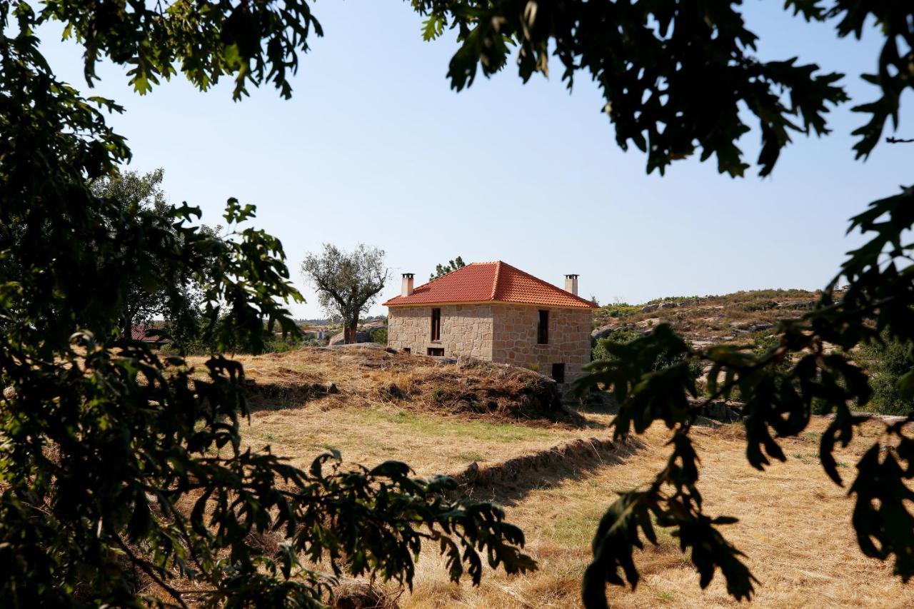 Quinta da Adarnela Alto Lagares da Beira Exterior foto